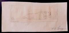 Study of Lion - Original Drawing by Wilhelm Lorenz - 1932