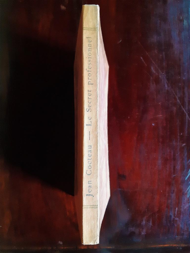Le Secret Professionnel – Le Secret Professionnel – Seltenes Vintage-Buch, illustriert von Jean Cocteau – 1925 im Angebot 7