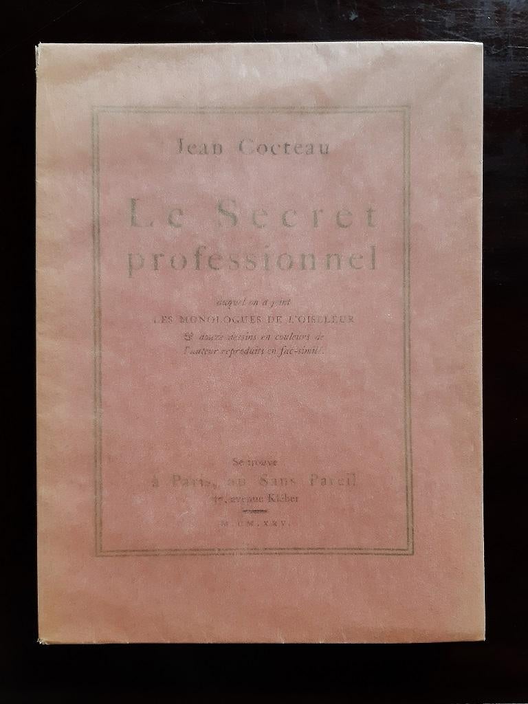 Le Secret Professionnel - Vintage Rare Book Illustrated by Jean Cocteau - 1925 For Sale 5