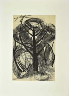 Flora méditerranéenne - Drawing original au crayon - Années 1950