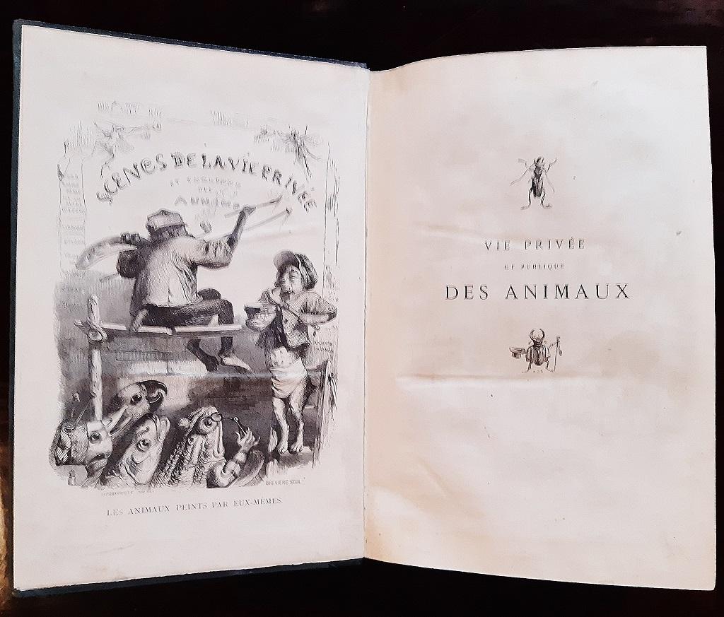 Vie Privée et Publique des Animaux ist ein modernes, seltenes Originalbuch, das von Jean Jeacques Grandville (Nancy, 1803 - Vanves, 1847) gestochen und von verschiedenen Autoren 1868 geschrieben wurde.

Original-Erstausgabe.

Herausgegeben von