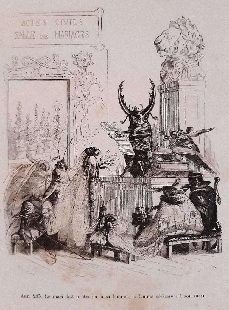 Vie Privée et Publique des Animaux - Illustrations by J.J. Grandville - 1868 - Art by J. J. Grandville