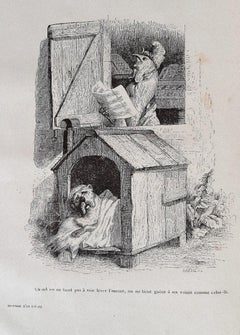 Vie Prive et Publique des Animaux - Illustrations de J.J. Grandville - 1868
