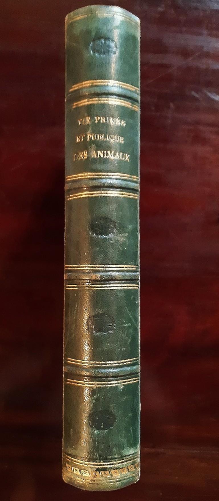 Vie Privée et Publique des Animaux is an original modern rare book engraved by Jean Jeacques Grandville (Nancy, 1803 – Vanves, 1847) and written by Various Authors in 1868.

Original First Edition.

Published by Hetzel, Paris.

Format:in 4°.

The