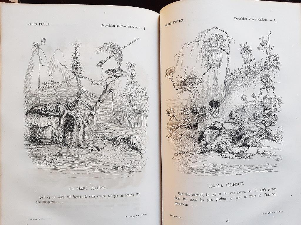 Le Diable à Paris - Rare Book Illustrated by Paul Gavarni - 1869 For Sale 1