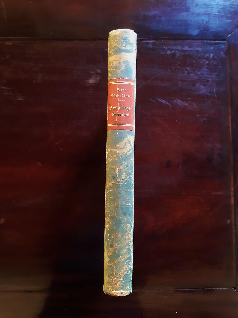 FruhlingsErwachen - Rare Book Illustrated by Willi Geiger - 1920 For Sale 3