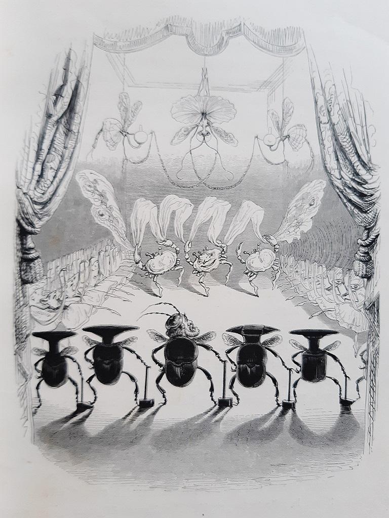 Un Autre Monde - Livre rare de J.J Grandville - 1844 en vente 2