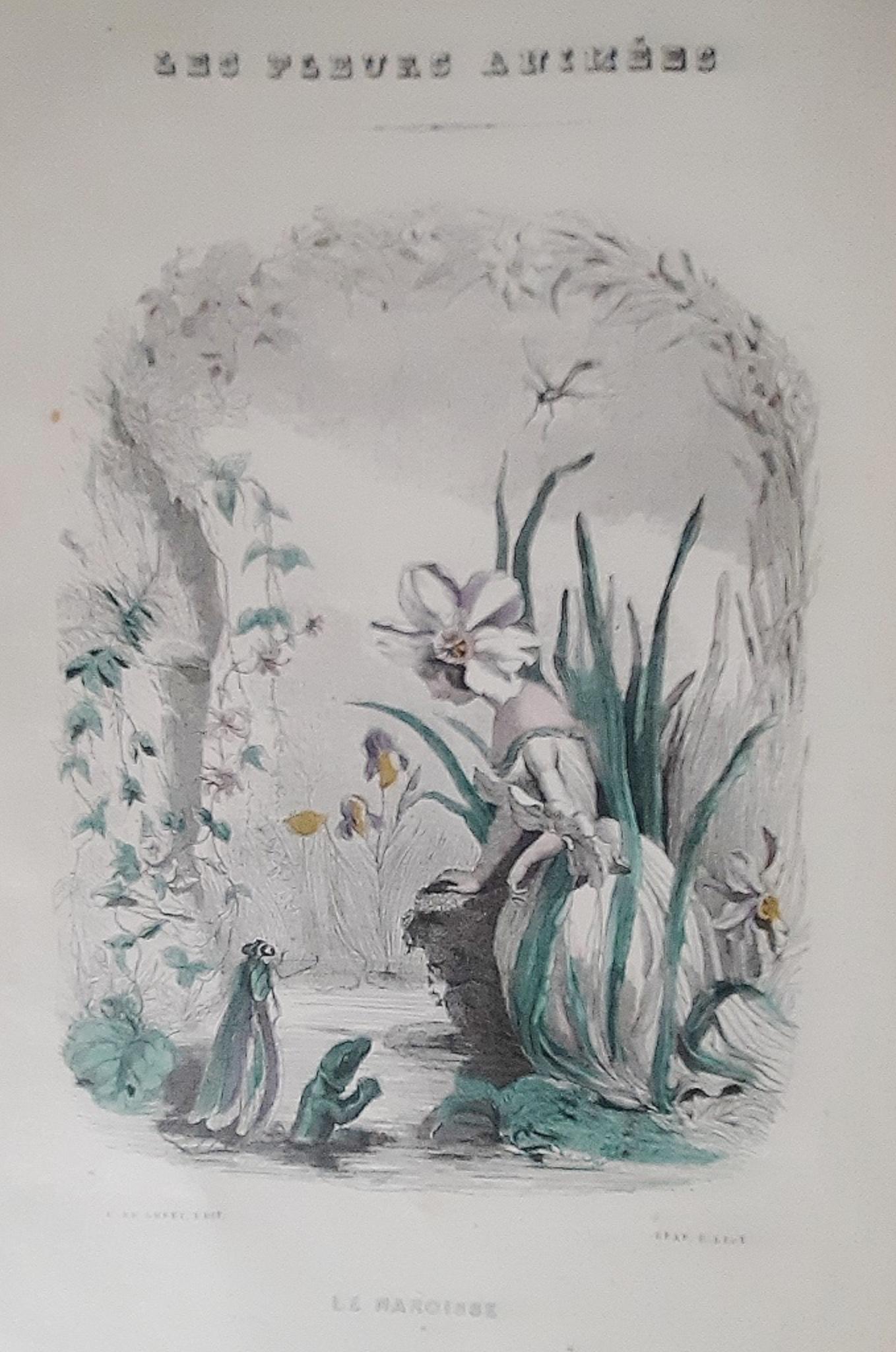 Les Fleurs Animées is an original modern rare book engraved by Jean Jeacques Grandville  (Nancy, 1803 – Vanves, 1847) and written by Taxile Delord (Avignon, 1815 - Paris, 1877) in 1847.

Original First Edition.

Published by Gabriel de Gonet,