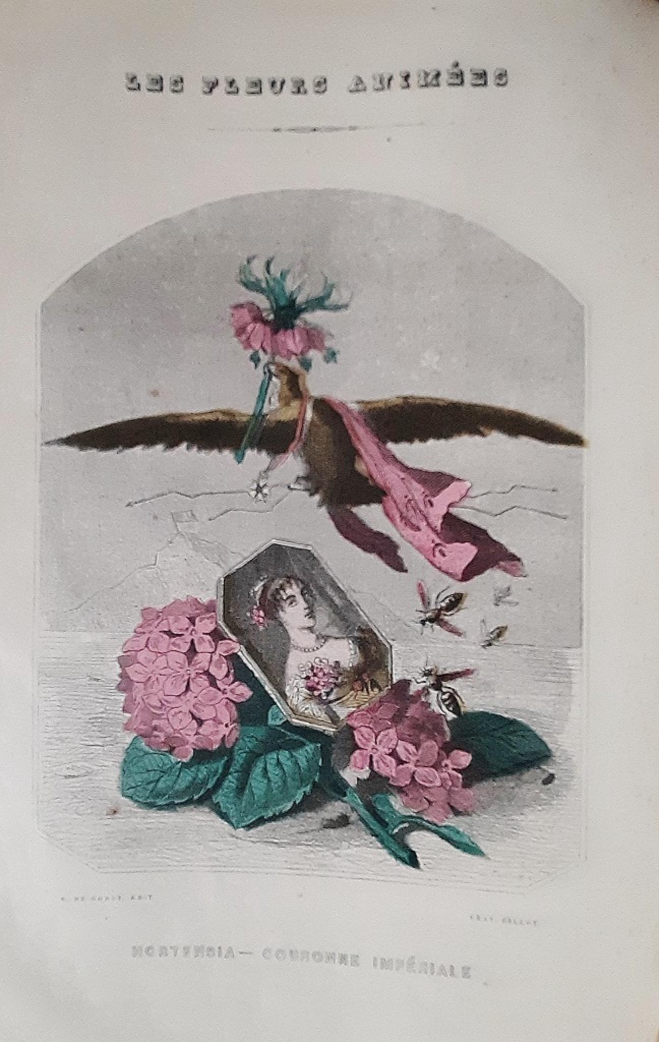 Les Fleurs Animées - Rare Book by J.J Grandville - 1847 For Sale 1
