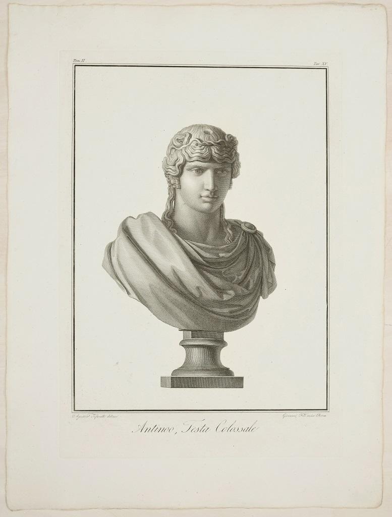“Antinoo, Testa Colossale” (Antinoo, Colossal Head) is a beautiful black and white burin and etching on paper, realized by the Italian artist Giovanni Folo, after Agostino Tofanelli, as the inscriptions on plates on lower margins report “Agostino