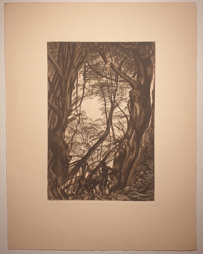 Africa - Into the Forest is an original artwork realized by Emmanuel Gondouin (Versailles, 1883 - Parigi, 1934) in 1930s.

Original lithograph, part of a collection entitled "Africa".

The work is glued to a cardboard.

Good condition.

Emmanuel