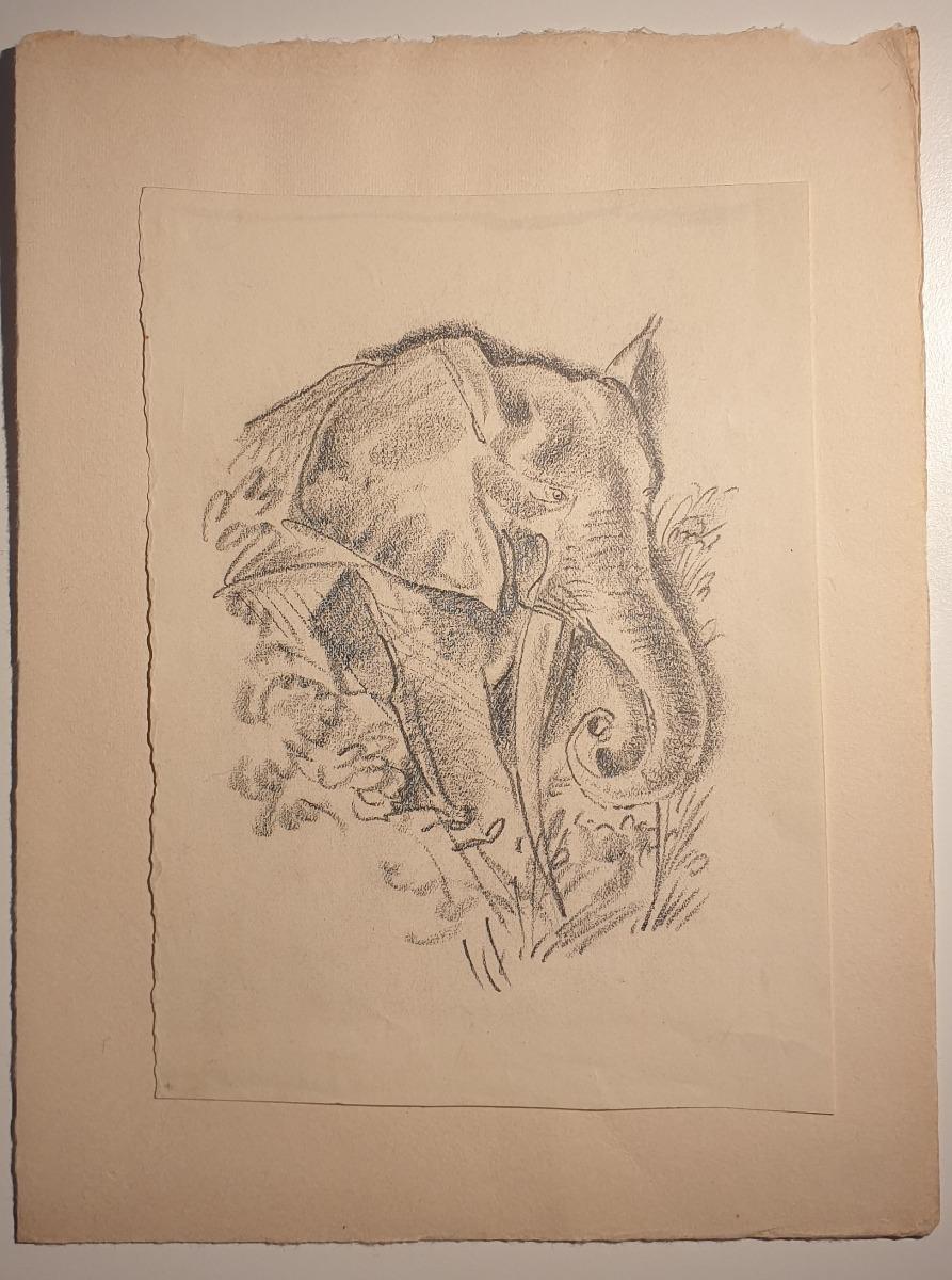 elephant wood burning