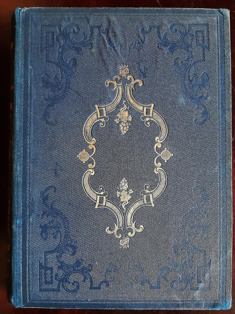 Voyage où il Vous Plaira - Rare Book Illustrated by Tony Johannot - 1843 For Sale 8