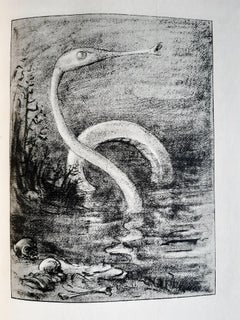 Samalio Pardulus - Rare Book Illustrated by Alfred Kubin - 1911