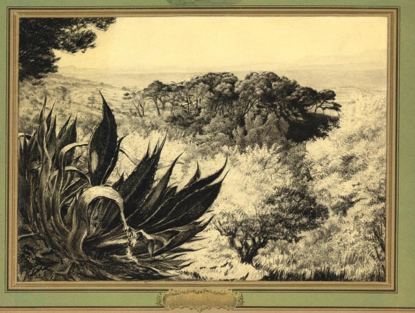 Landscape - Pencil and Charcoal Drawing - 1952 - Art by Unknown