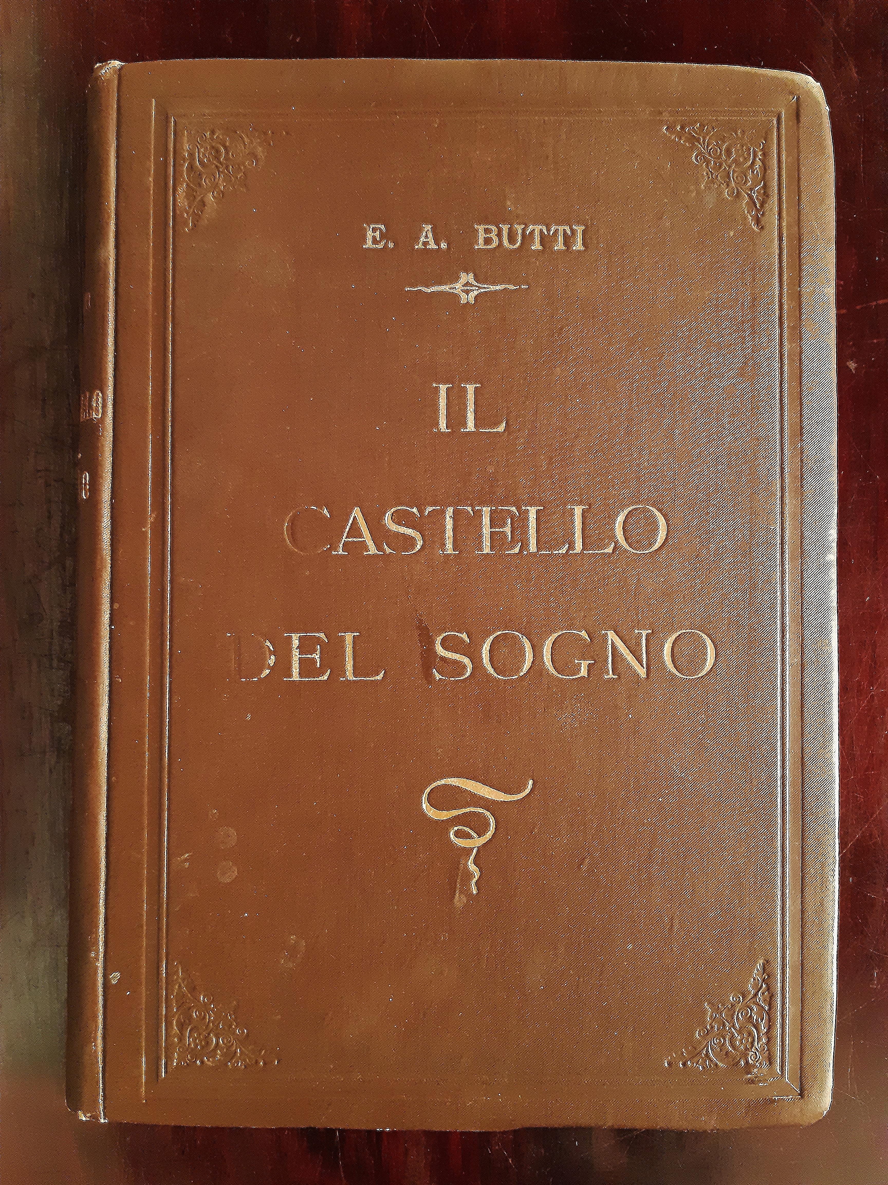 Il castello del Sogno - Rare Book Illustrated by A. Martini - 1910 For Sale 1