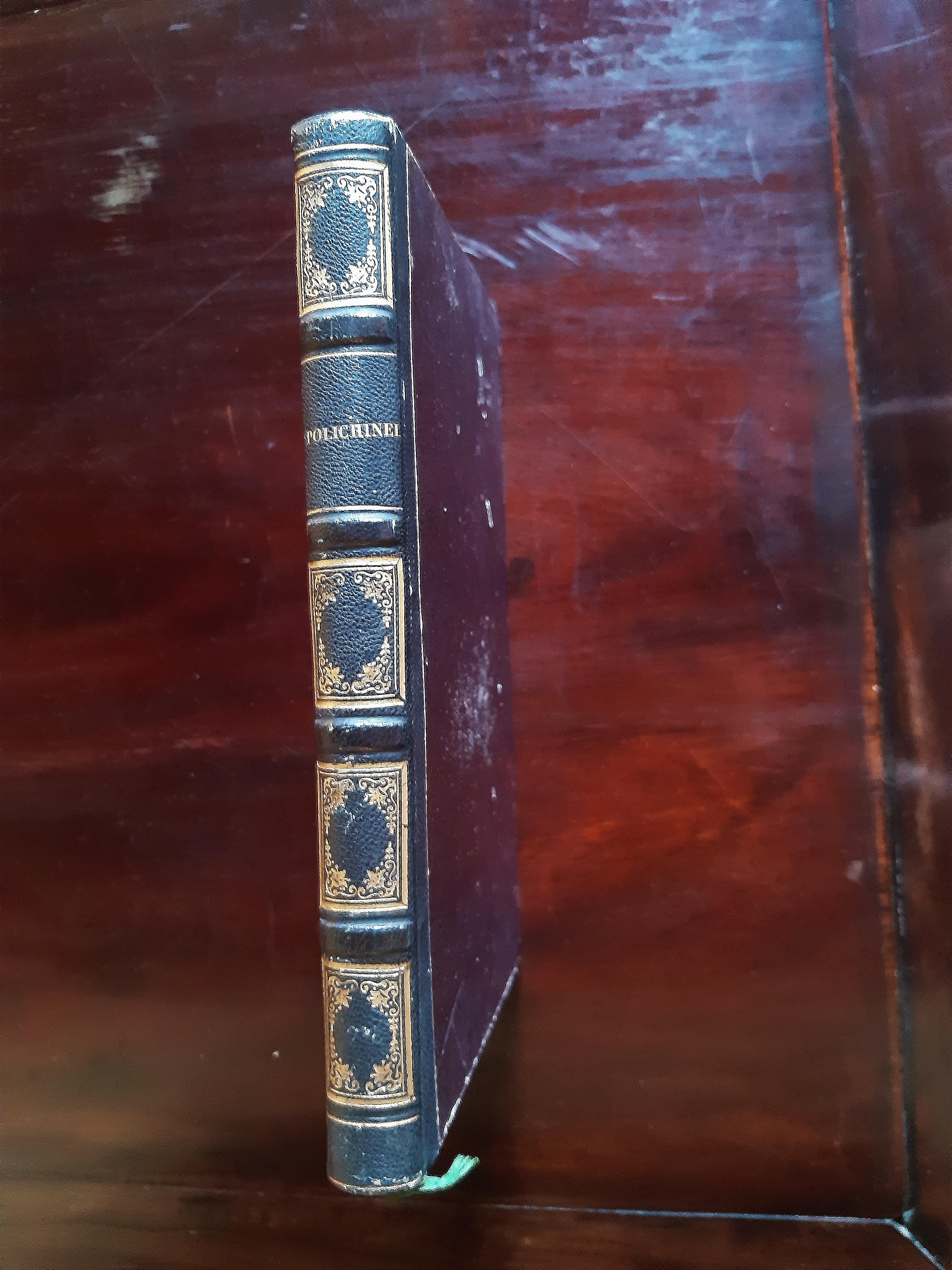 Polichinel ex-roi des Marionnettes devenu philosophe is an original modern rare book illustrated by Alcide-Joseph Lorentz (1813-1891) in 1848.

Original Edition.

Published by Willermy, Paris.

Format: in 8°. The dimensions and the weight of the