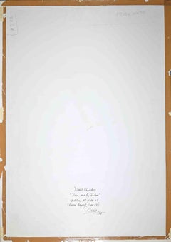 Denudado - Fotografía de Nikhil Bhandari - 2008