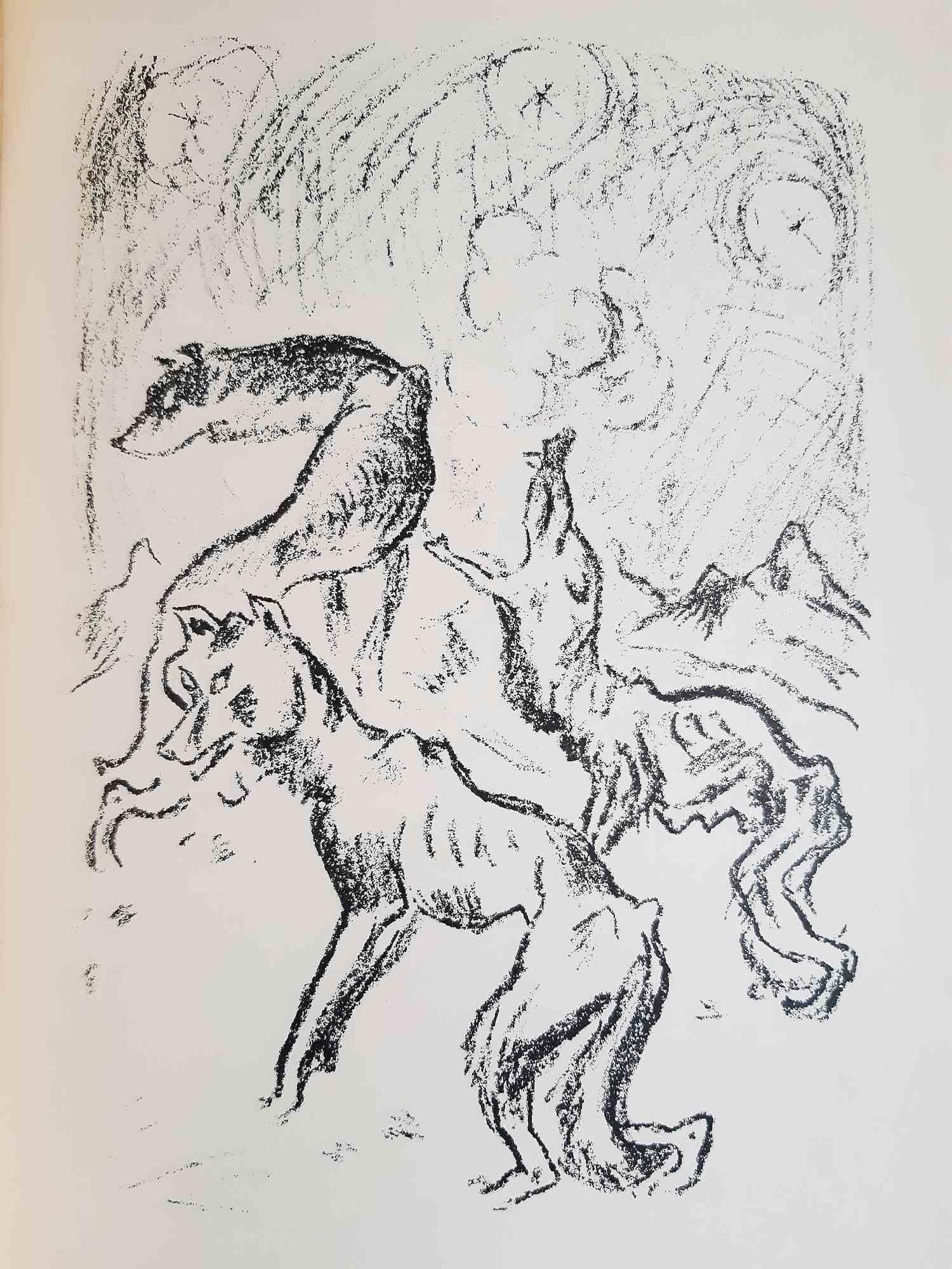 Der Hasenroman - Original Rare Book Illustrated by Richard Seewald - 1916 5