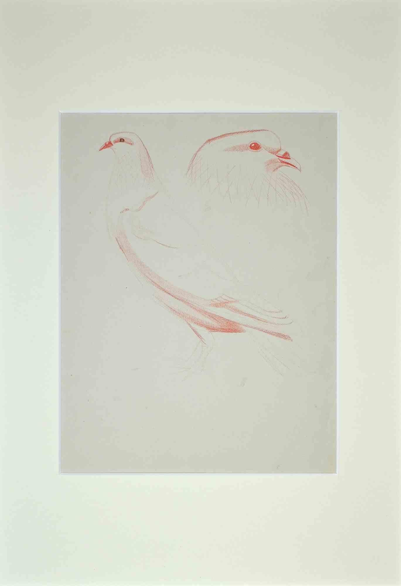 Doves - Original Pastel by Eugène Juillerat - 1920