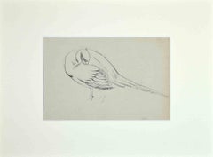 Sleeping Bird - Original Drawing by Eugène Juillerat - 1920