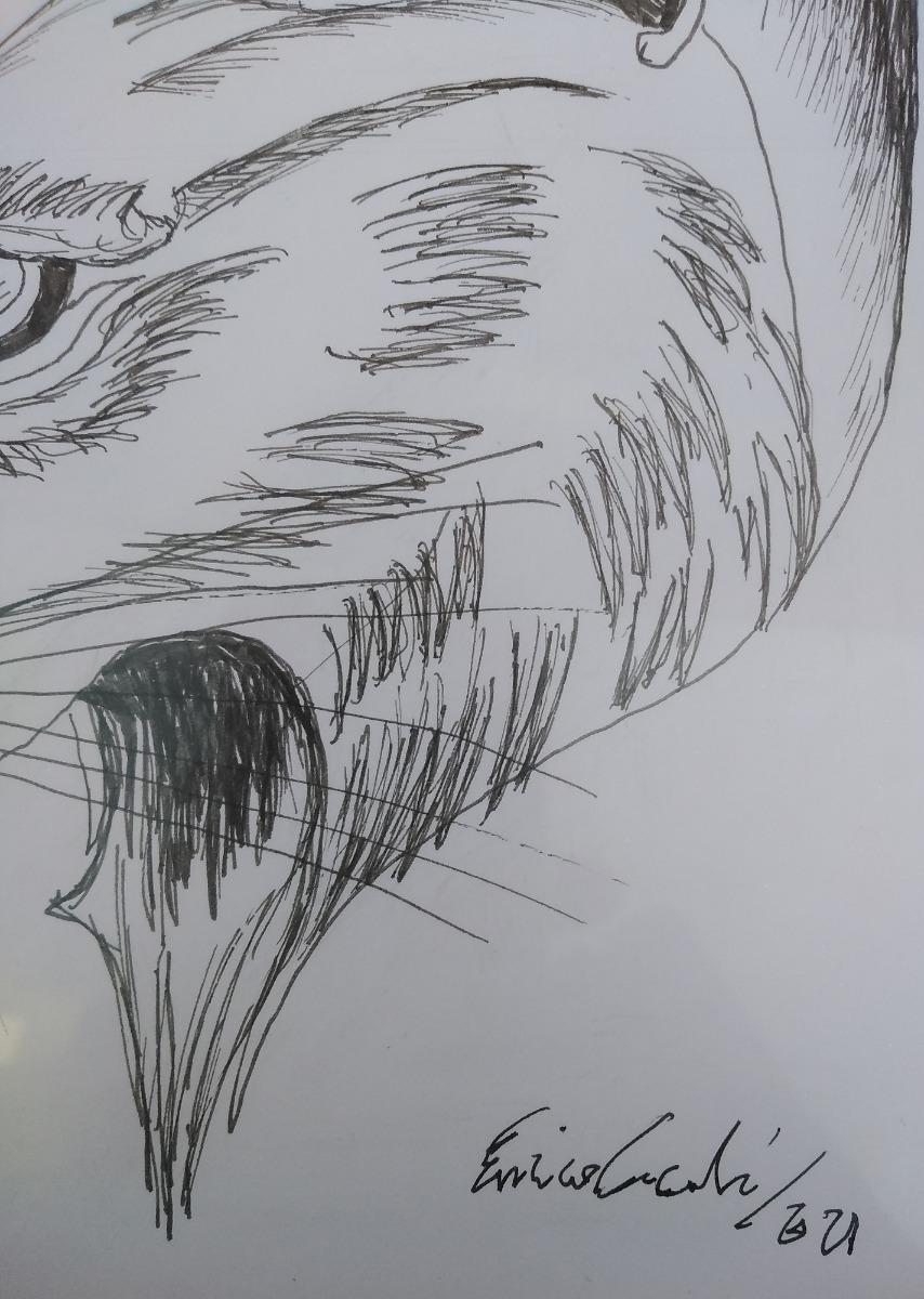Lynx Portrait -  Drawing by Enrico Josef Cucchi - 2021 For Sale 1