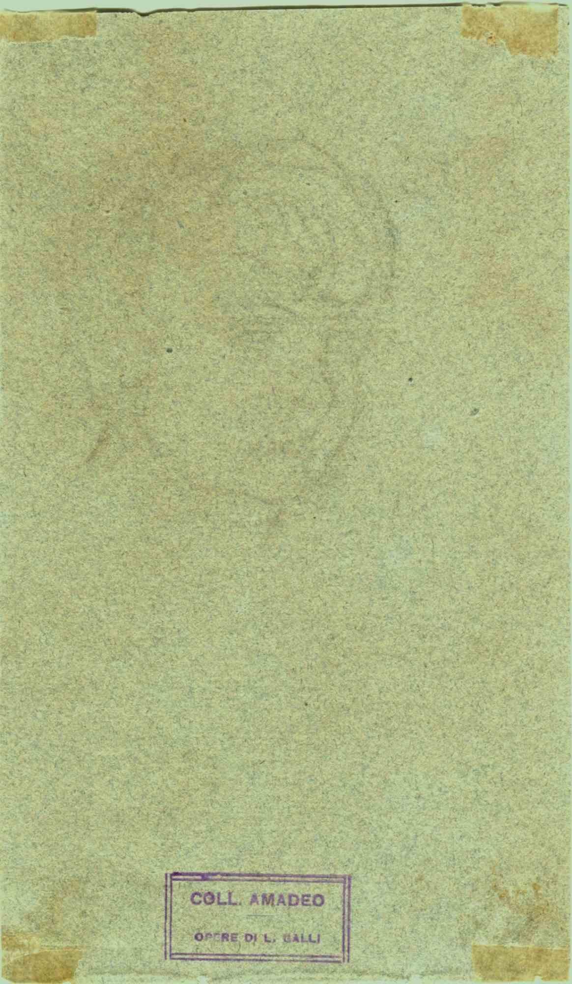 The Portrait is an original drawing realized by Luigi Galli (1820-1906) in the late 19th Century.

Stamped," Coll. Amadeo"

Good conditions but aged.

The artwork is depicted through soft strokes and perfect hatchings.