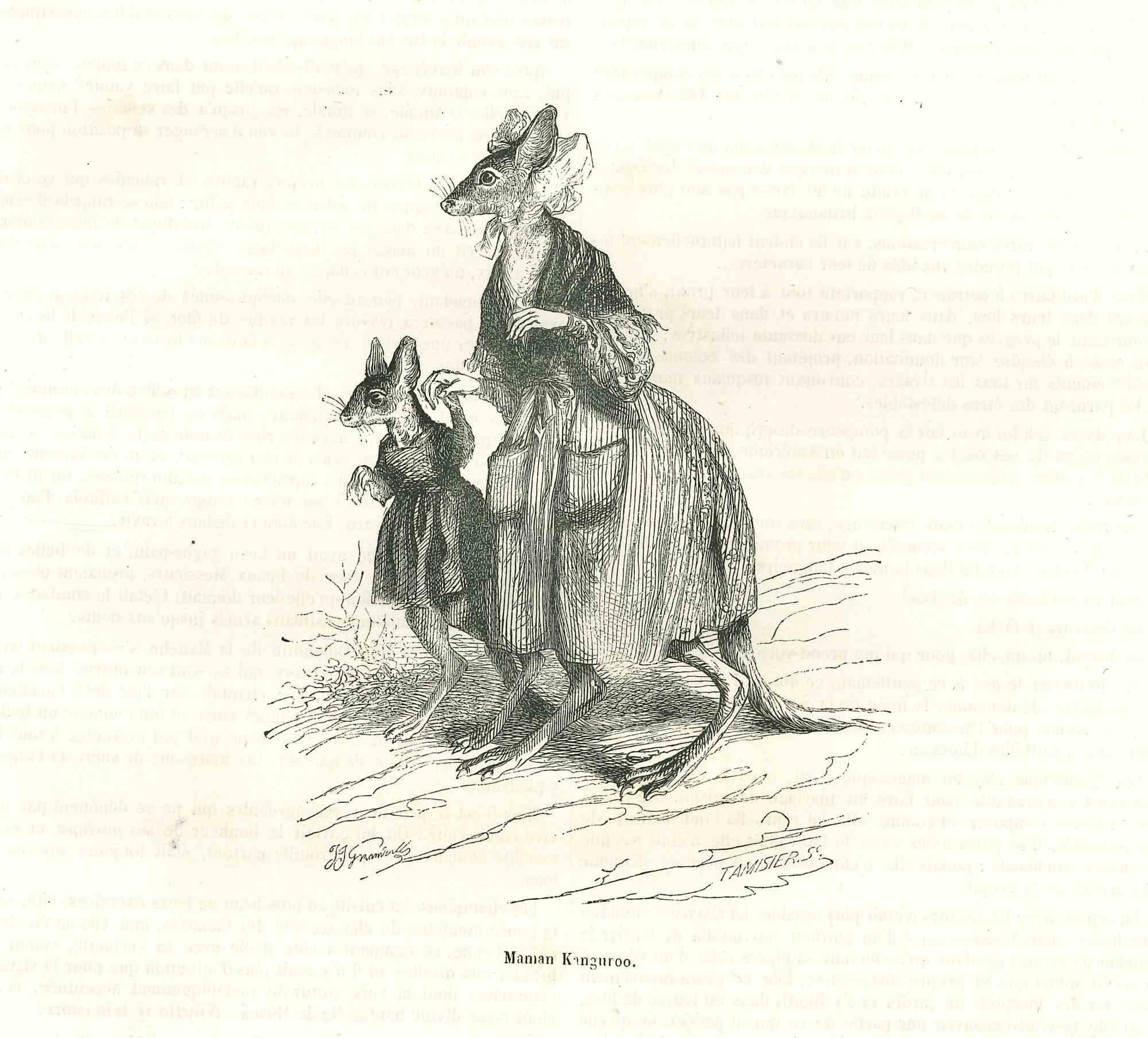 Maman Canguroo  Lithographie de J.J Grandville - 1852