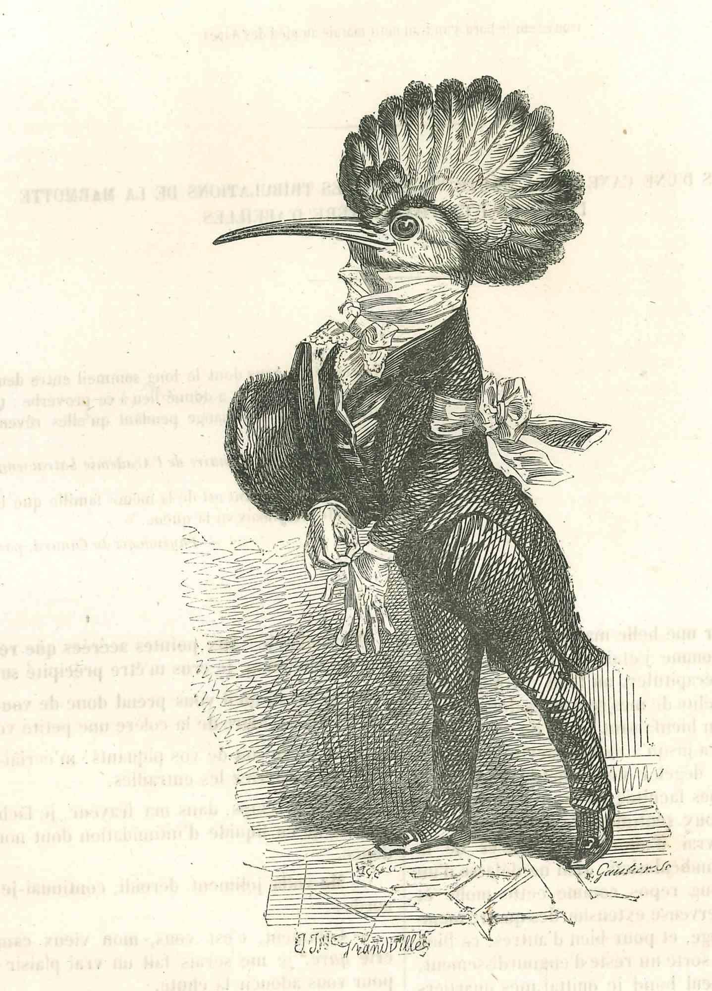 The Gentleman Woodpecker - Original Lithograph by J.J Grandville - 1852