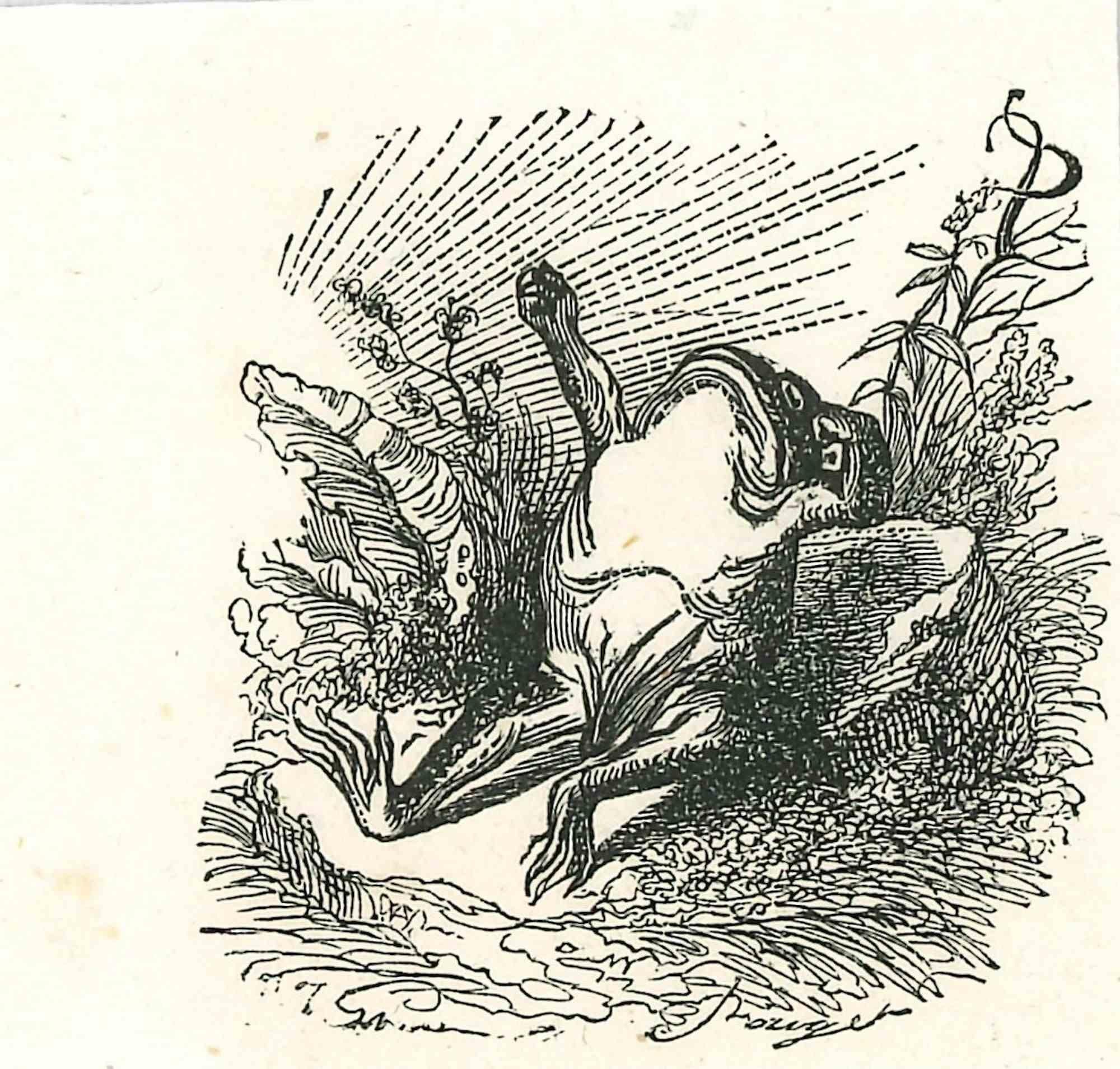 The Lazy Frog - Original Lithograph by J.J Grandville - 1852