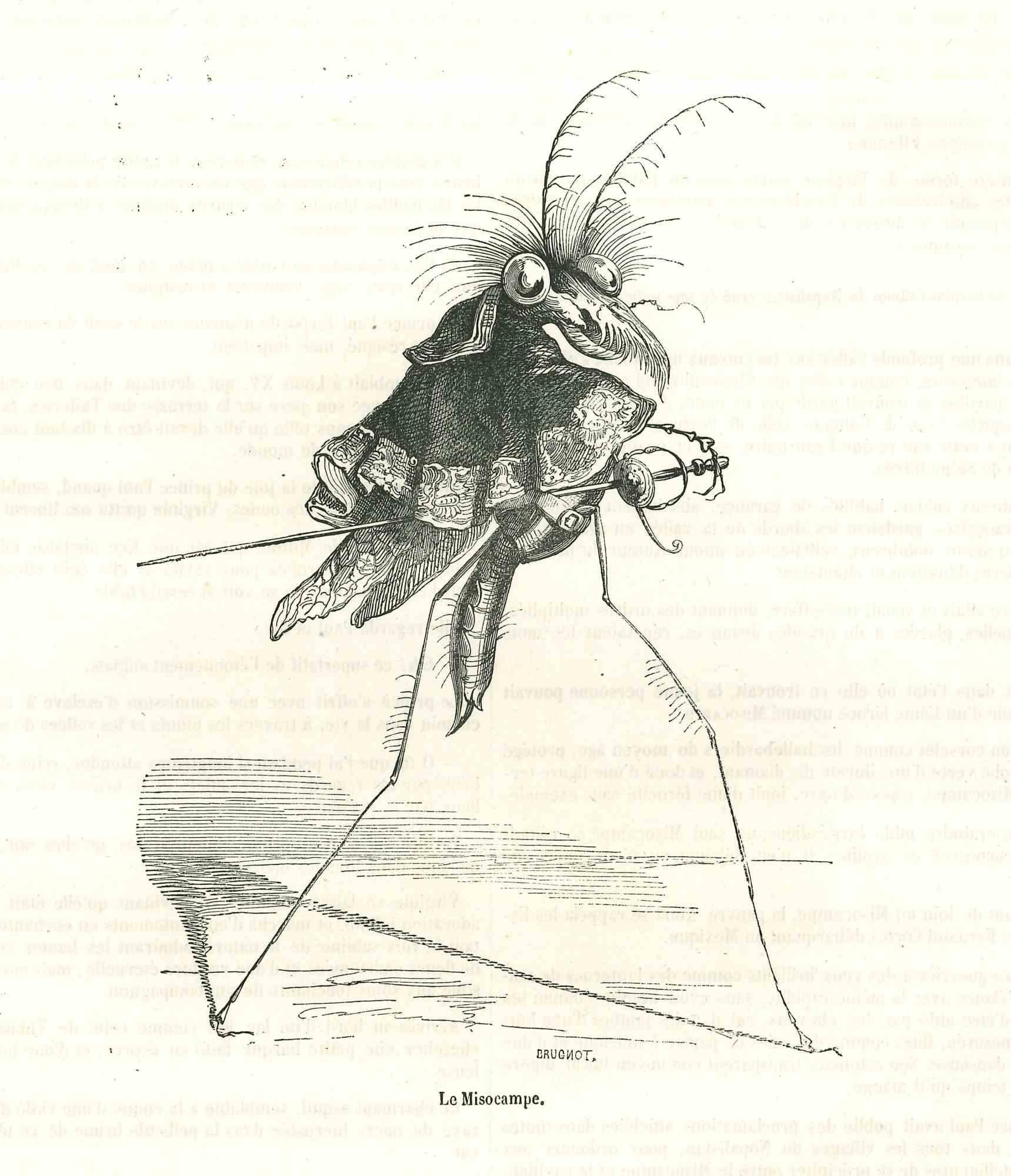 Le Misocampe - Original Lithograph by J.J Grandville - 1852 - Art by Jean Jeacques Grandville