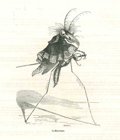 Le Misocampe - Original Lithograph by J.J Grandville - 1852
