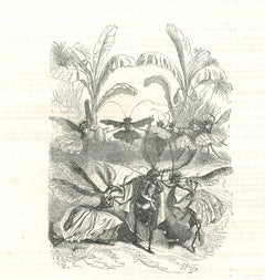 Le royaume des insectes - Lithographie originale de J.J Grandville - 1852