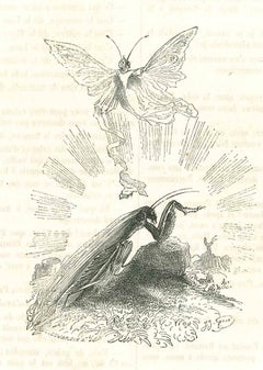 The Rebirth - Original Lithograph by J.J Grandville - 1852