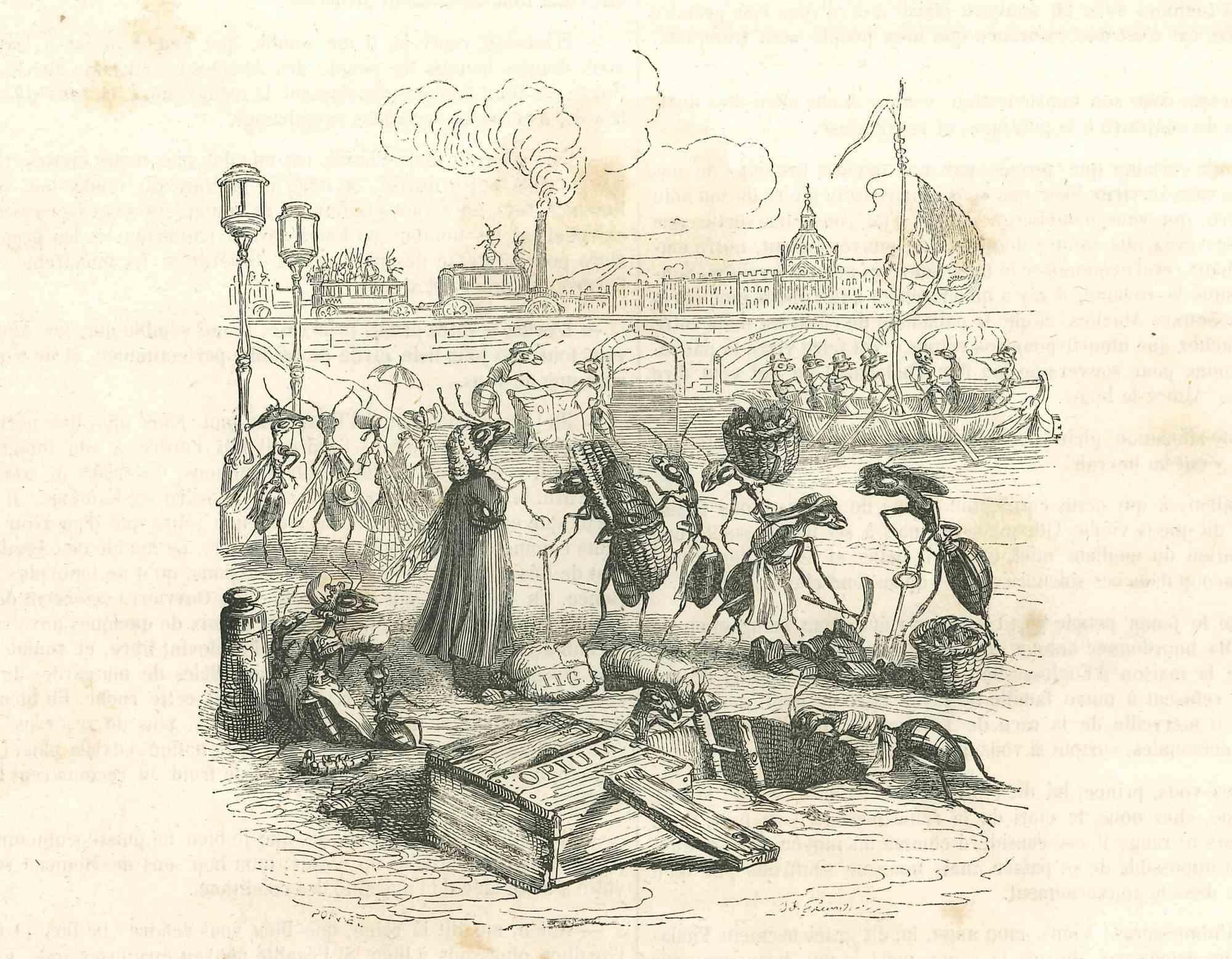 Il commercio degli insetti è una litografia originale di J. J. Grandville da "Scènes de la vie privée et publique des animaux", 1852. Pubblicato da Manesq & Harvard, Parigi. 

Buone condizioni.

L'opera d'arte è rappresentata con tratti decisi e