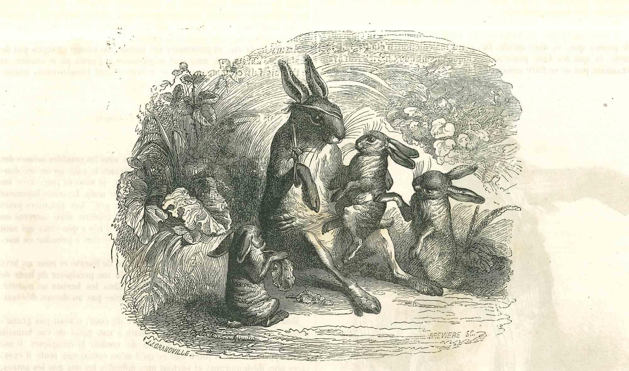 Bunny Rabbits - Original Lithograph by J.J Grandville - 1852 - Art by Jean Jeacques Grandville