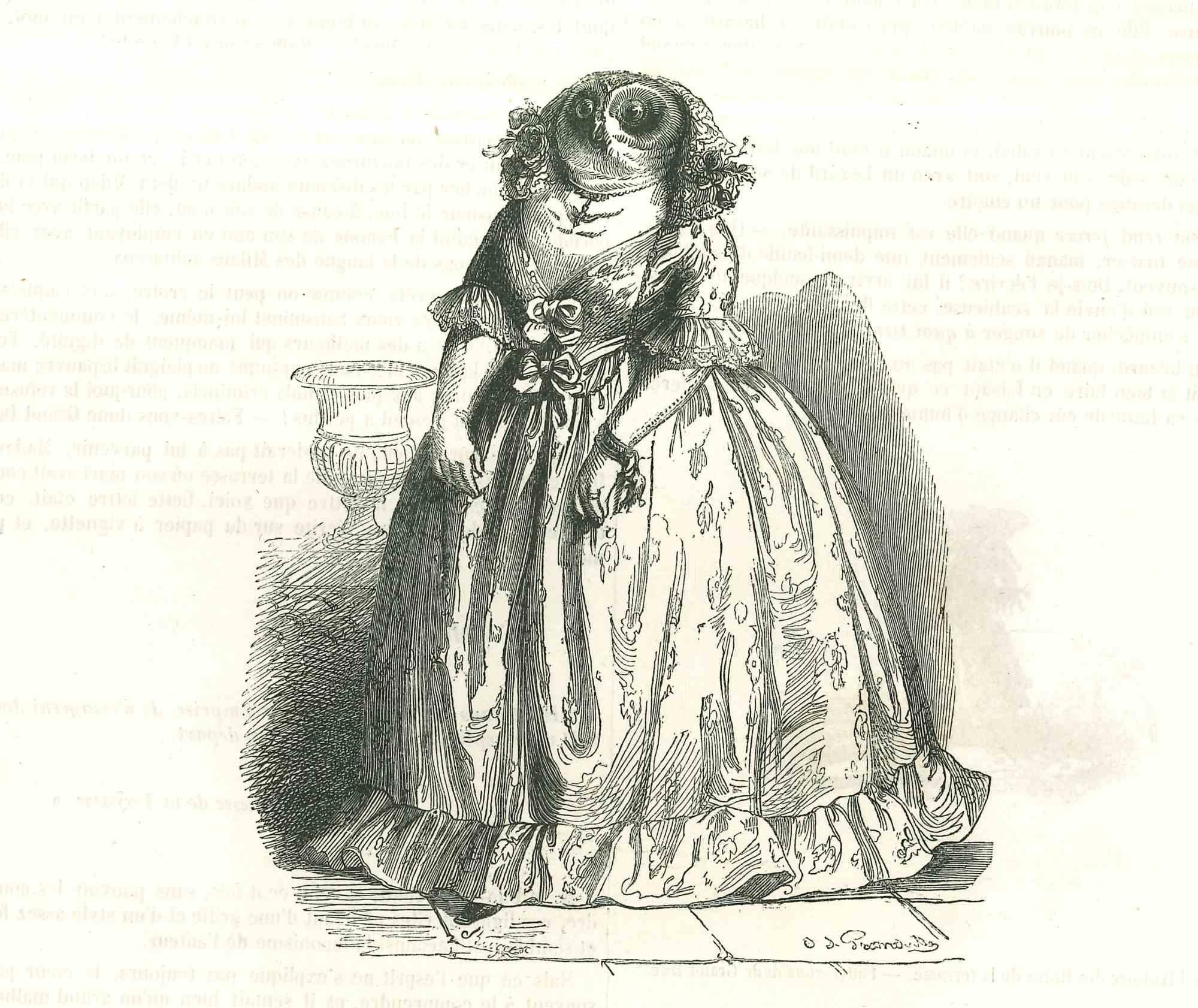 Lady Owl - Original Lithograph by J.J Grandville - 1852