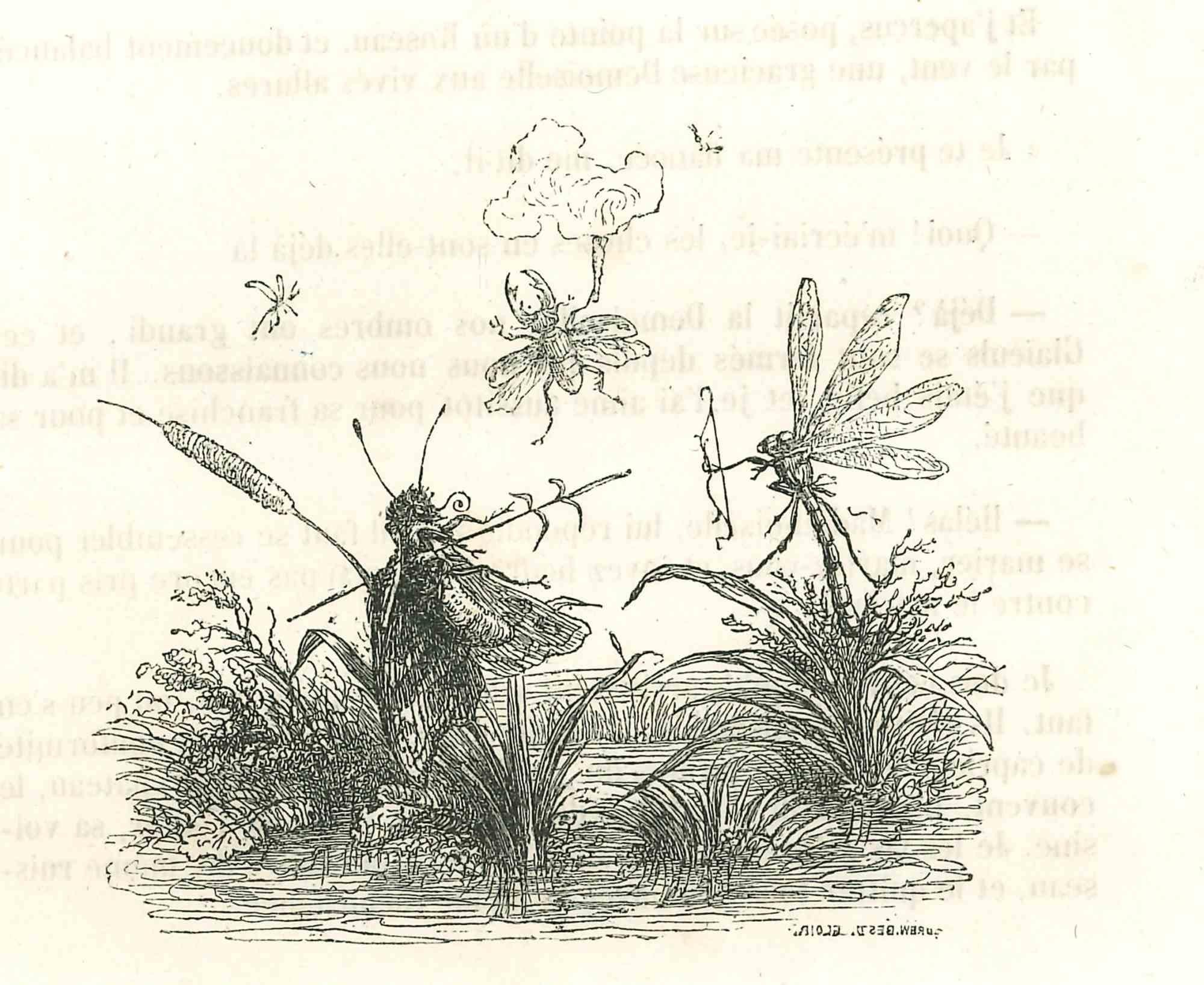 Guerreros es una litografía original de J.J. Grandville de "Scènes de la vie privée et publique des animaux, 1852. Publicado por Manesq & Harvard, París. 

Buen estado pero envejecido.

La obra de arte se representa mediante trazos fuertes con una