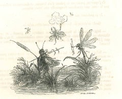 Warriors - Original Lithograph by J.J Grandville - 1852