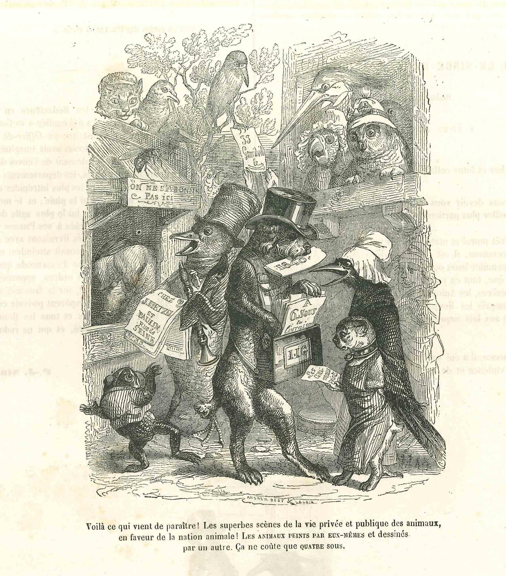 Noticias para los animales es una litografía original de J.J. Grandville de "Scènes de la vie privée et publique des animaux, 1852. Publicado por Manesq & Harvard, París. 

Buen estado pero envejecido.

La obra de arte se representa mediante trazos