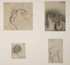 Studi anatomici - Disegno di Luigi Galli - Fine XIX secolo