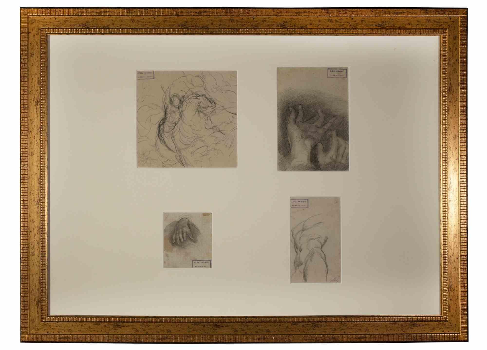 Anatomical Studies - Drawing by Luigi Galli - Late 19th Century For Sale 1