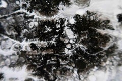 Grey Life -  Painting - 2020s