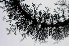 Black Life - Painting - 2020s