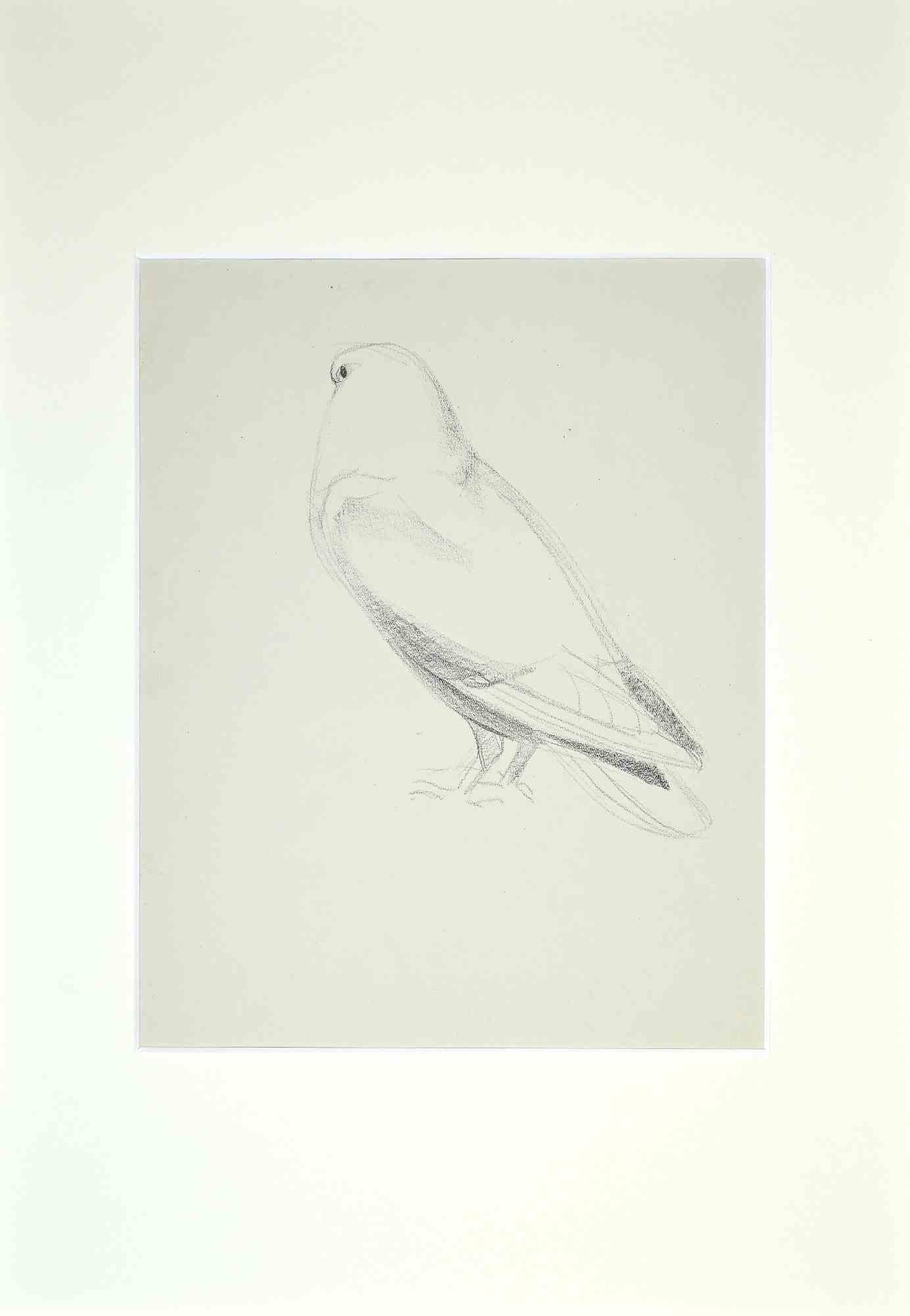 Eugène Juillerat Figurative Art – Dove - Originalzeichnung von Eugne Juillerat - 1920er Jahre