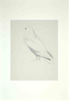 Antique Dove - Original Drawing by Eugène Juillerat - 1920s