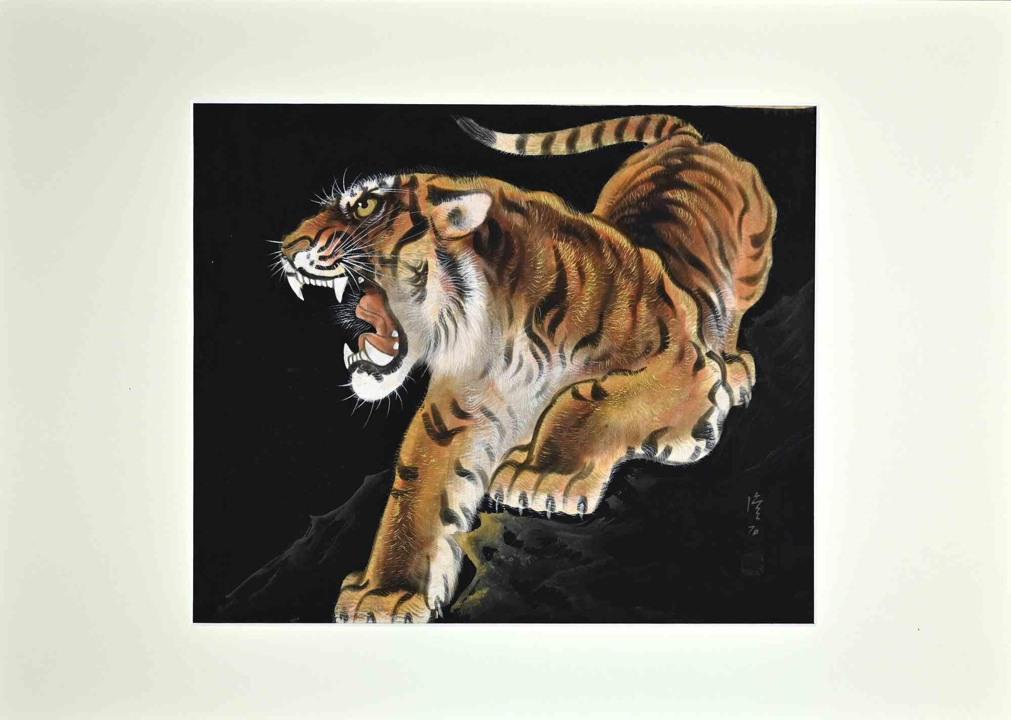 Tiger -  Original Drawing - Mid-20th Century - Art by Unknown