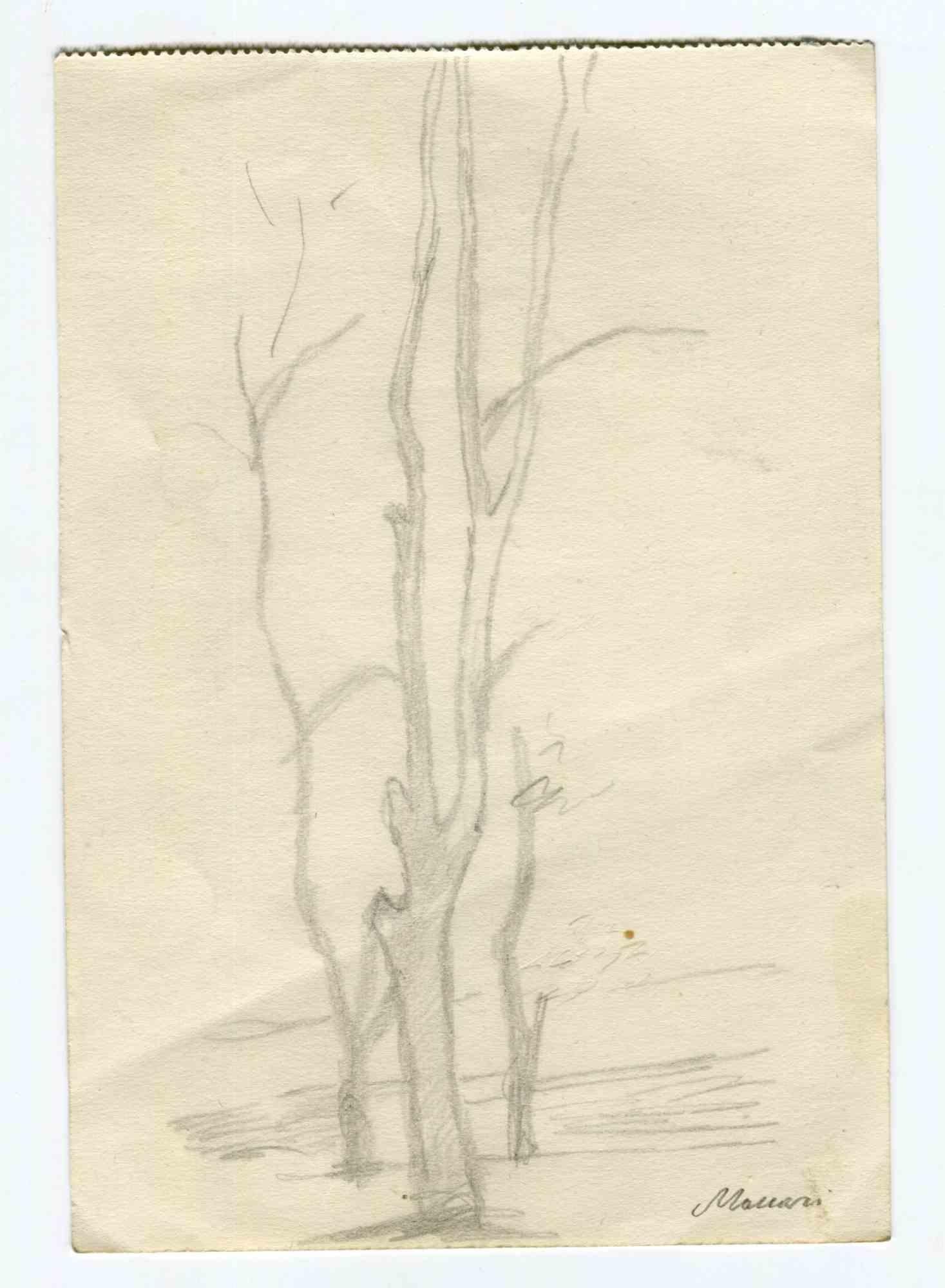 The Trees is an original drawing in Pencil realized by Mino Maccari in the mid-20th Century.

Good condition.

The artwork is depicted through strong strokes in a well-balanced composition.