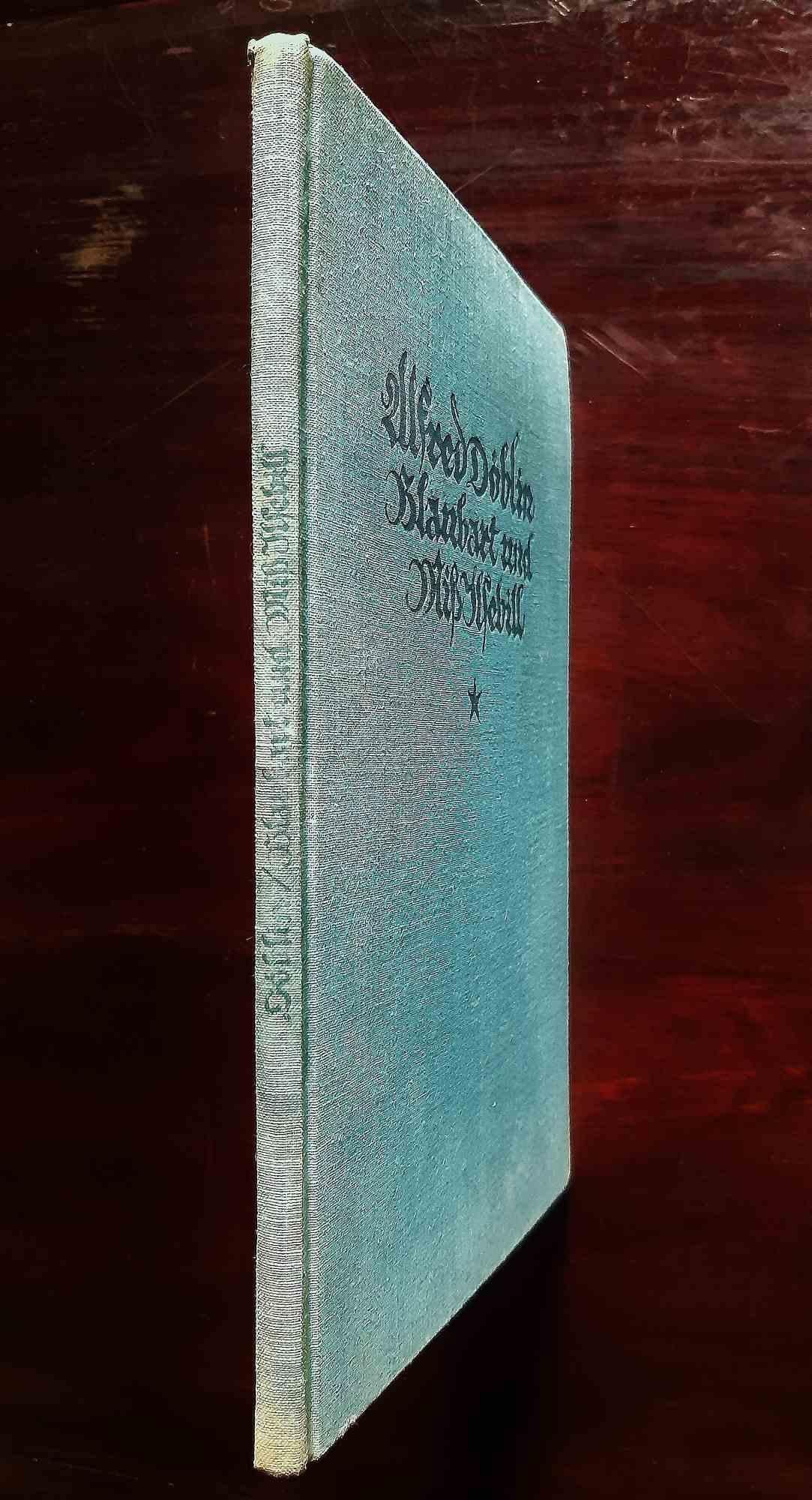 Blaubart und Miss Ilsebill - Livre rare illustré par Johann Rabus - 1923 en vente 4