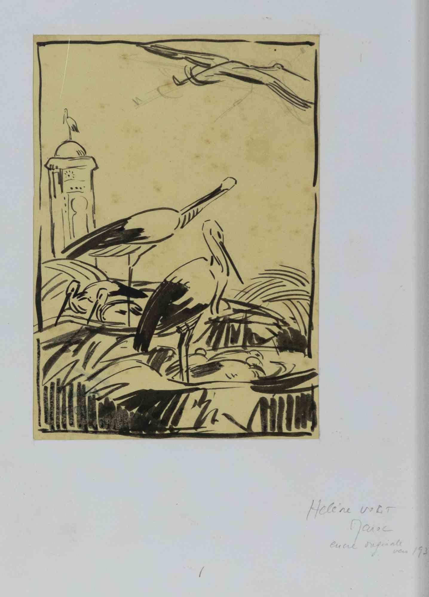 Figurative Art  Helen Vogt - Des oiseaux au Maroc - dessin original d'Hélène Vogt - milieu du XXe siècle